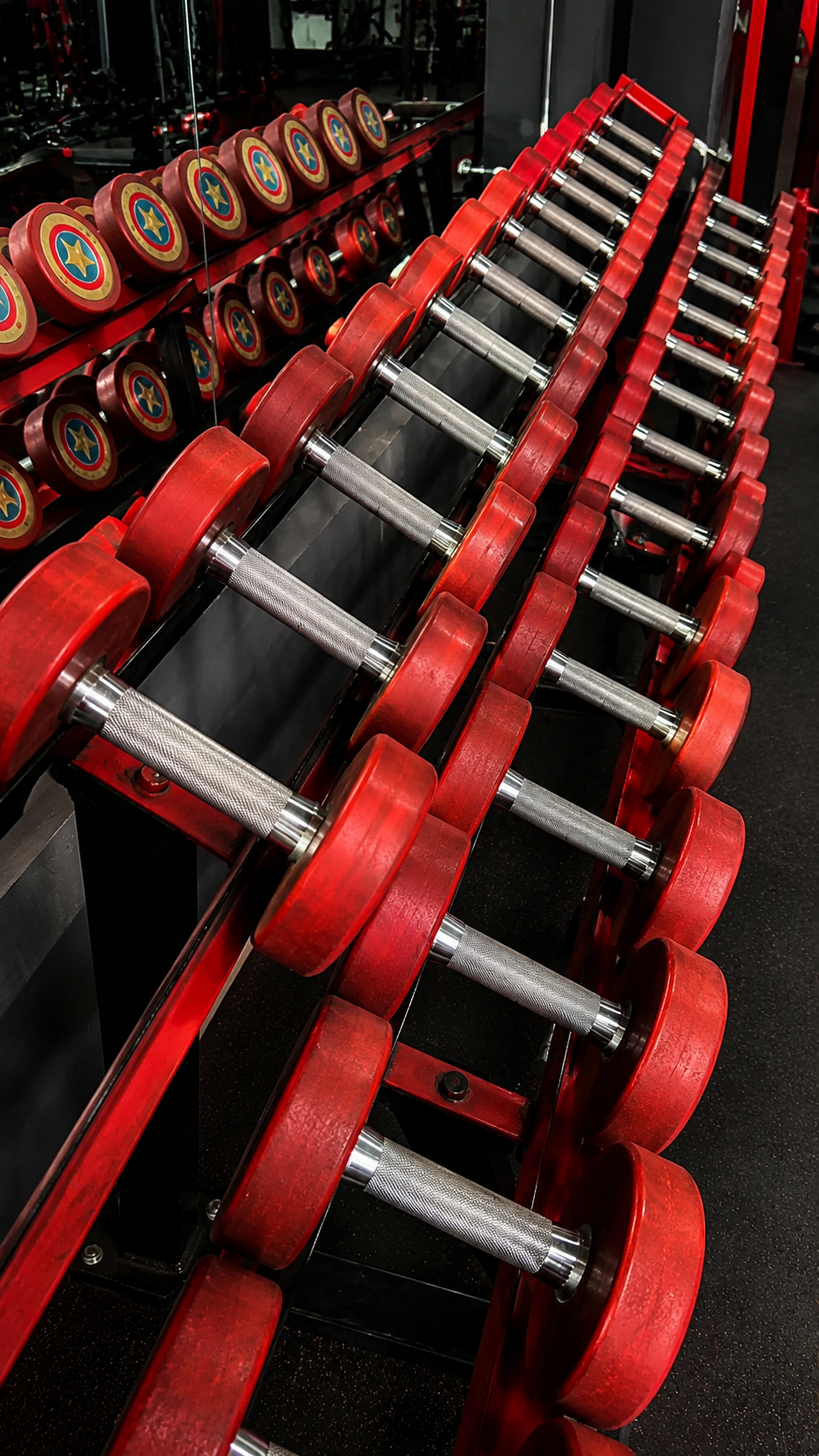 Dumbbell Rack at Goodlife Fitness Club Solapur